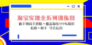 淘宝实操全系列训练营 新手到高手进阶·覆盖·99%知识 看透·对手 学会运营 - 技研社-技研社