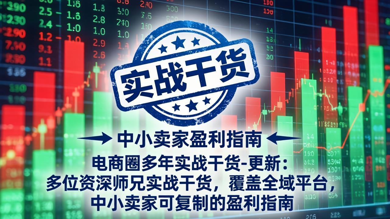 电商圈多年实战干货-更新2026:多位资深师兄实战干货/覆盖全域平台,中小卖家可复制的盈利指南 电商圈多年实战干货-更新2026:多位资深师兄实战干货/覆盖全域平台,中小卖家可复制的盈利指南