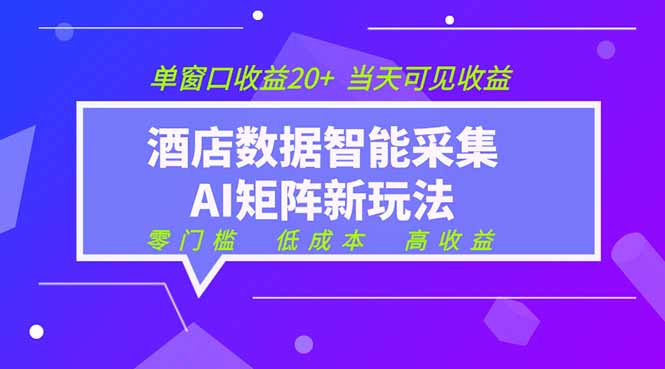 2026酒店数据采集ai智能矩阵新风口 低成本 高收益 当天见收益 单窗口20+ - 技研社-技研社