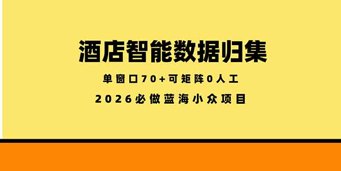 酒店智能数据归集:小众蓝海已经稳定半年之久,单窗口70+零成本矩阵开干-技研社