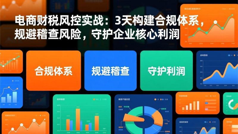 想搞电商财税风控实战?这份副业实操资料把路铺好了-技研社
