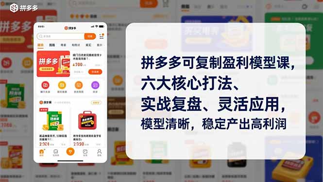 拼多多可复制盈利模型课:六大核心打法,实战复盘-技研社