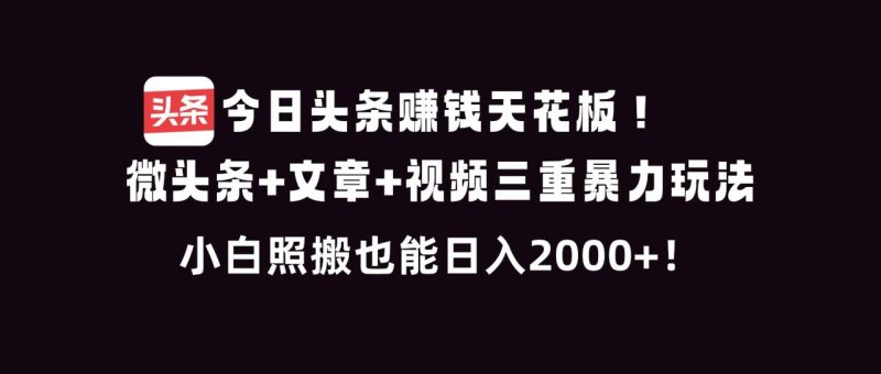 今日头条赚钱天花板!微头条+文章+视频三重暴利玩法:小白照搬也能日人2000+-技研社