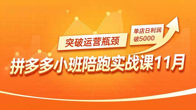 拼多多小班陪跑实战课11月,强付费矩阵、原价活动、暗券引流,突破运营瓶颈,单店日利润破5000 拼多多小班陪跑实战课11月,强付费矩阵、原价活动、暗券引流,突破运营瓶颈,单店日利润破5000