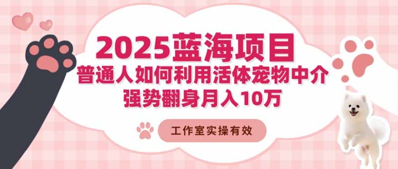 2025蓝海项目:普通人如何利用活体宠物中介,强势翻身月入10万 - 技研社-技研社