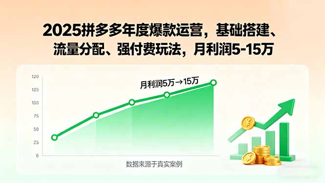 2025拼多多年度爆款运营，基础搭建、流量分配、强付费玩法，月利润5-15万 - 技研社-技研社