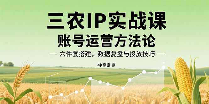 三农IP实战课:账号运营方法论,六件套搭建,数据复盘与投放技巧 三农IP实战课:账号运营方法论,六件套搭建,数据复盘与投放技巧