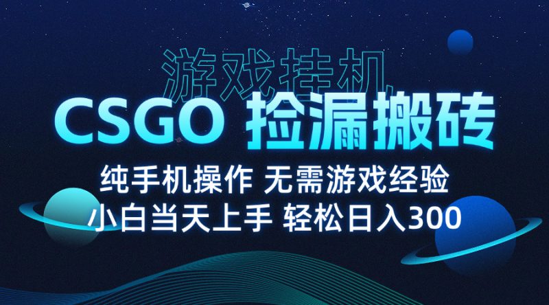 8月最新游戏搬砖,CSGO纯挂机,不需要玩游戏,实现真挂机,月入1W+ - 技研社-技研社