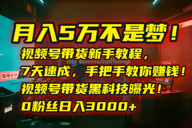 月入5万不是梦！视频号带货新手教程：7天速成，赚钱！视频号…-技研社