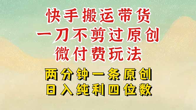 快手黑科技搬运带货,一刀不剪过原创,微付费投流玩法,轻松日入四位数... 快手黑科技搬运带货,一刀不剪过原创,微付费投流玩法,轻松日入四位数...