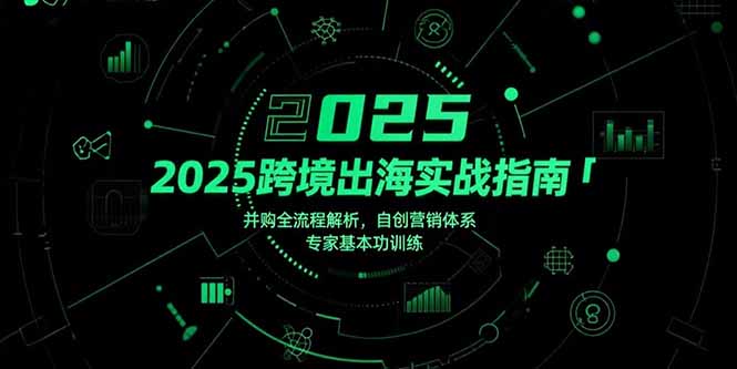2025跨境出海实战指南,并购全流程解析,自创营销体系,专家基本功训练 2025跨境出海实战指南,并购全流程解析,自创营销体系,专家基本功训练