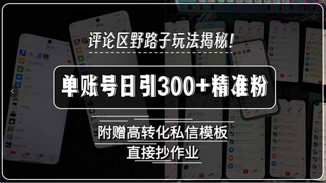 评论区野路子玩法揭秘!单账号日引300+精准粉:附赠高转化私信模板,直…-技研社