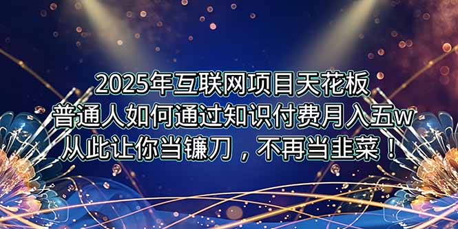 2025年互联网项目天花板-技研社