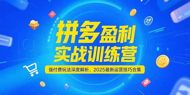 拼多多盈利实战训练营,强付费玩法深度解析,2025运营技巧合集-更新6月 拼多多盈利实战训练营,强付费玩法深度解析,2025运营技巧合集-更新6月