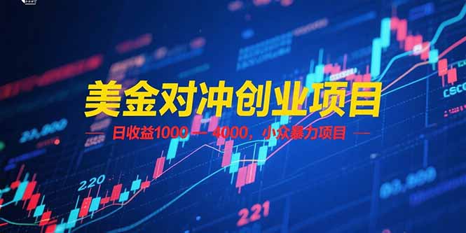 美金对冲创业项目，日收益 1000 – 4000，小众暴力项目 - 技研社-技研社