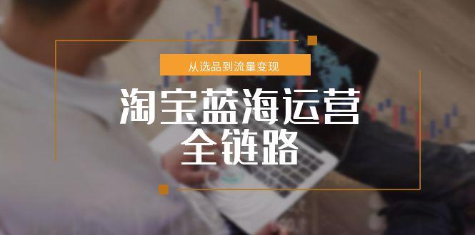 淘宝蓝海运营全链路:从选品到流量变现,小类目突围完整方案-技研社