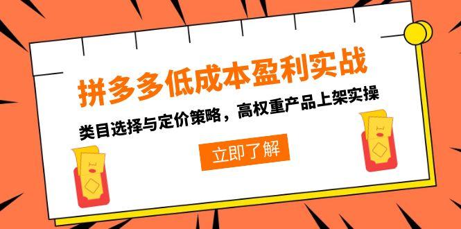 拼多多低成本盈利实战-技研社