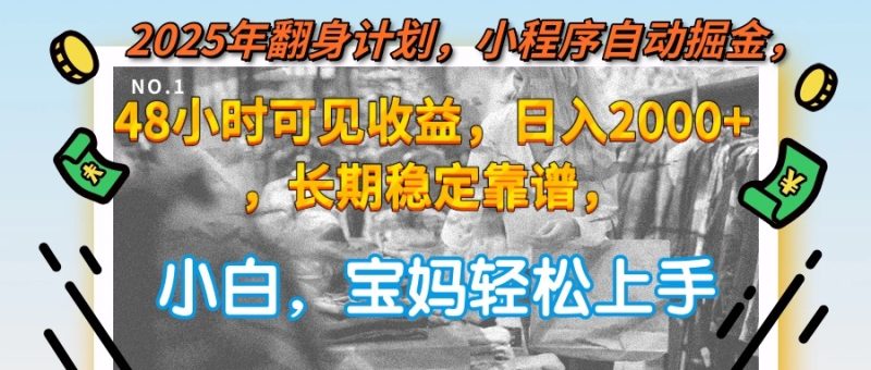 2025年翻身计划，小程序自动掘金48小时可见收益，日入2000+，长期稳定… - 技研社-技研社