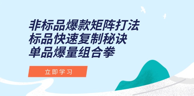 非标品爆款矩阵打法,标品快速复制秘诀,单品爆量组合拳 非标品爆款矩阵打法,标品快速复制秘诀,单品爆量组合拳