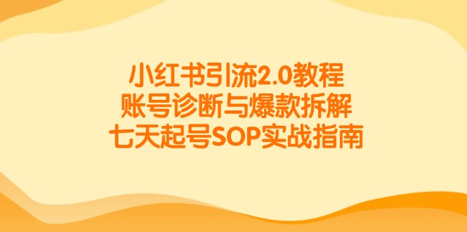 小红书引流2.0教程，账号诊断与爆款拆解，七天起号SOP实战指南 - 技研社-技研社