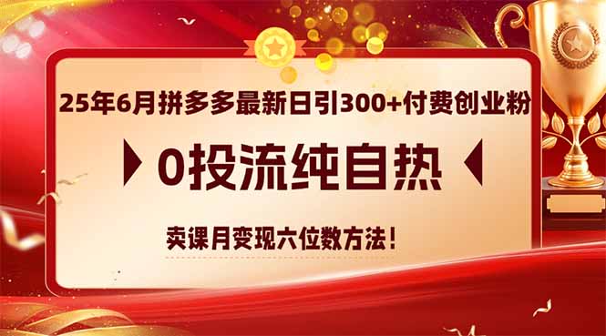 25年6月拼多多最新日引300+付费创业粉:0投流纯自热,卖课月变现六位数方法-技研社