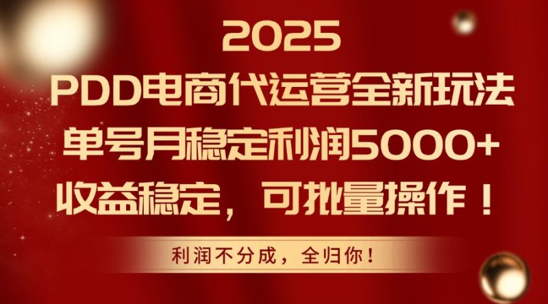 2025PDD电商代运营全新玩法,单号月稳定利润5000+,收益稳定,可批量操作 - 技研社-技研社