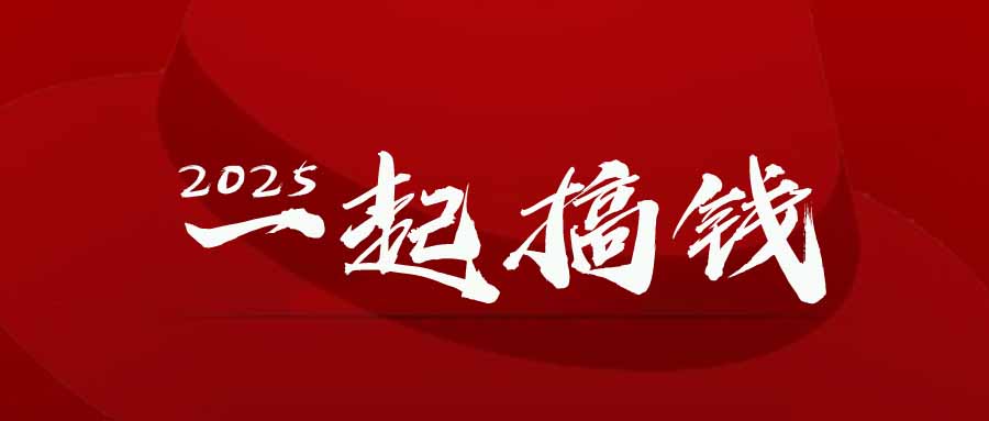 2025年，请“不择手段”去搞钱!