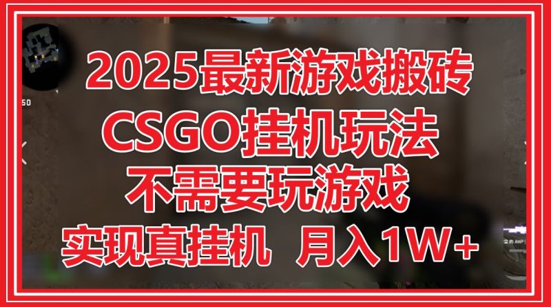 2025最新游戏搬砖，CSGO挂机，不需要玩游戏，实现真挂机，月入1W+ - 技研社-技研社