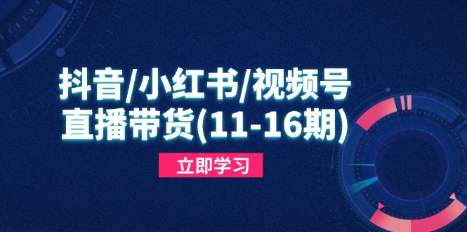 抖音/小红书/视频号/直播带货(11-16期),快速掌握平台规则,打造爆款内容 抖音/小红书/视频号/直播带货(11-16期),快速掌握平台规则,打造爆款内容