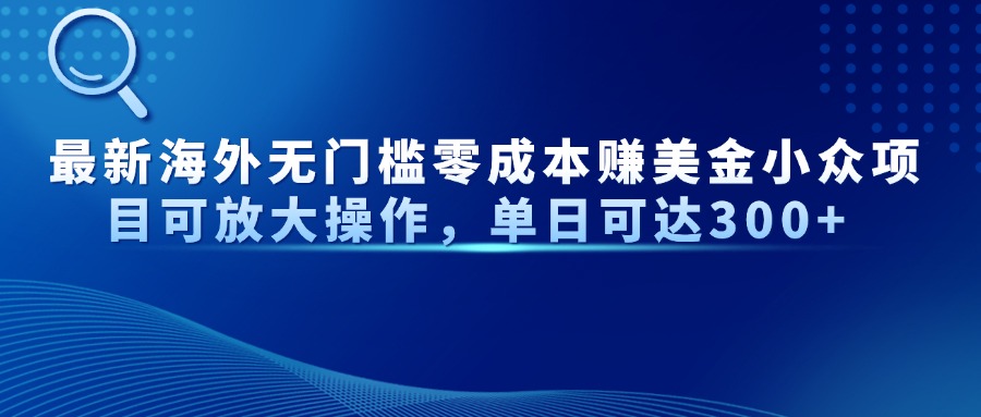 最新海外无门槛零成本赚美金小众项目可放大操作，单日可达300+