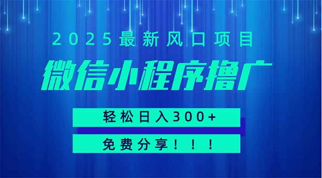 微信小程序撸广，最新风口项目，日入300+ 免费分享 可批量操作 小白可… - 技研社-技研社