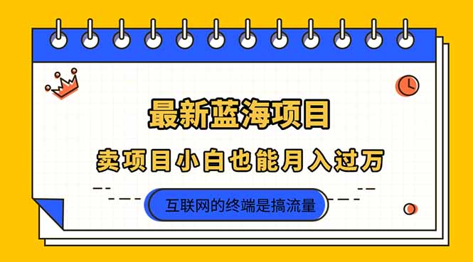 2025年最新蓝海项目,卖项目小白也能月入过万 2025年最新蓝海项目,卖项目小白也能月入过万