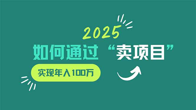 2025年如何通过“卖项目”实现年入100万 2025年如何通过“卖项目”实现年入100万