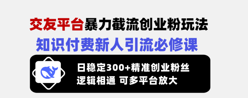 交友平台暴力截流创业粉玩法,知识付费新人引流必修课,日稳定300+精准… - 技研社-技研社