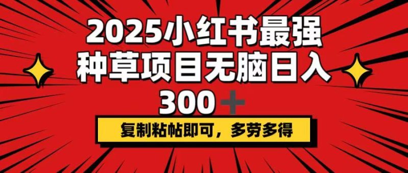 2025小红书最强种草项目，无脑日入300+，复制粘帖即可，多劳多得 - 技研社-技研社