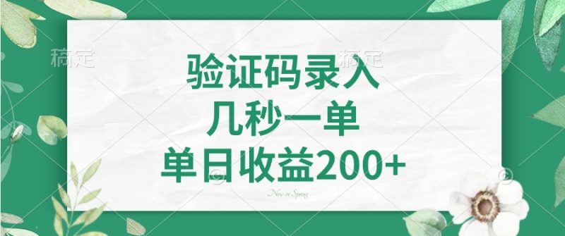 验证码录入，几秒一单，单日收益200+ - 技研社-技研社