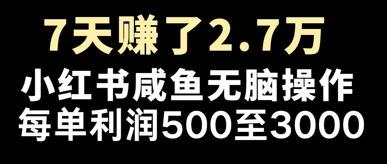 最赚钱项目之一,2025爆火,逆风翻盘! 最赚钱项目之一,2025爆火,逆风翻盘!