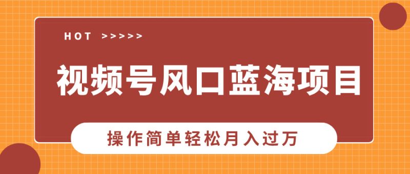 视频号风口蓝海项目,中老年人的流量密码,操作简单轻松月入过万 - 技研社-技研社