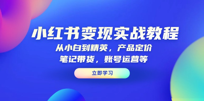 小红书变现实战教程:从小白到精英,产品定价,笔记带货,账号运营等 小红书变现实战教程:从小白到精英,产品定价,笔记带货,账号运营等