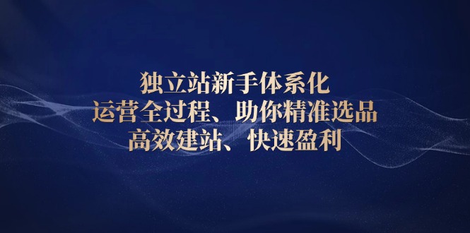 独立站新手体系化 运营全过程,助你精准选品、高效建站、快速盈利 独立站新手体系化 运营全过程,助你精准选品、高效建站、快速盈利