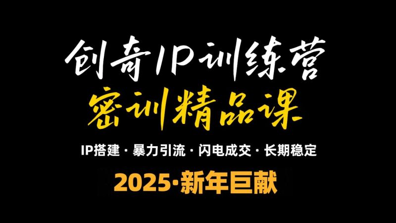 2025年“知识付费IP训练营”小白避坑年赚百万:暴力引流,闪电成交-技研社