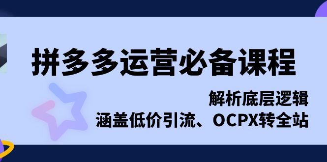 拼多多运营必备课程,解析底层逻辑,涵盖低价引流、OCPX转全站 拼多多运营必备课程,解析底层逻辑,涵盖低价引流、OCPX转全站