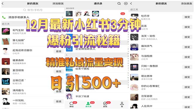 12月最新小红书3分钟爆粉引流秘籍 精准私域流量变现 日引500+ 12月最新小红书3分钟爆粉引流秘籍 精准私域流量变现 日引500+