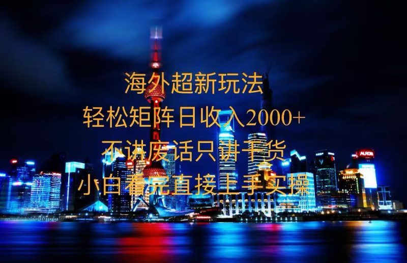 2025全新海外暴力玩法，操作简单，小白轻松上手 - 技研社-技研社
