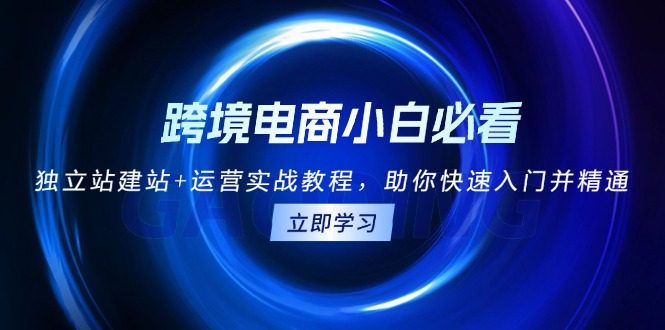 跨境电商小白必看!独立站建站+运营实战教程:助你快速入门并精通-技研社