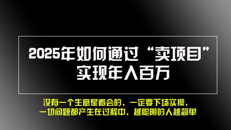 2025年如何通过“卖项目”实现年入百万,做网赚必看!! - 技研社-技研社