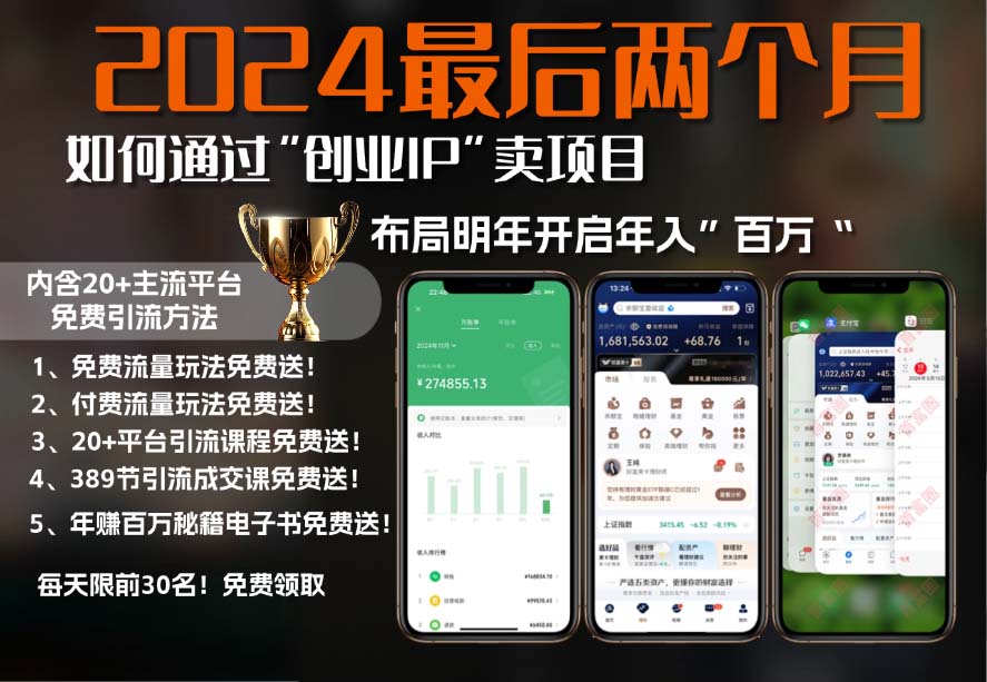 2024最后两个月如何通过”创业IP“卖项目年入”百万“,创业IP+最强引流... 2024最后两个月如何通过”创业IP“卖项目年入”百万“,创业IP+最强引流...