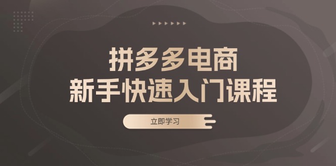 拼多多电商新手快速入门课程：涵盖基础、实战与选款，助力小白轻松上手 - 技研社-技研社