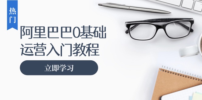 阿里巴巴运营零基础入门教程:涵盖开店、运营、推广,快速成为电商高手 阿里巴巴运营零基础入门教程:涵盖开店、运营、推广,快速成为电商高手