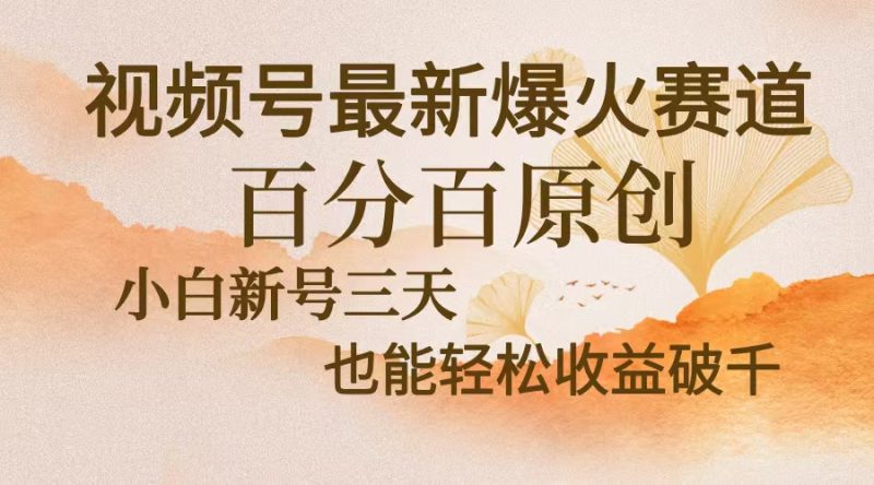 视频号最新爆火赛道,中老年粉深信不疑,百分百原创,新号三天收益轻松… - 技研社-技研社